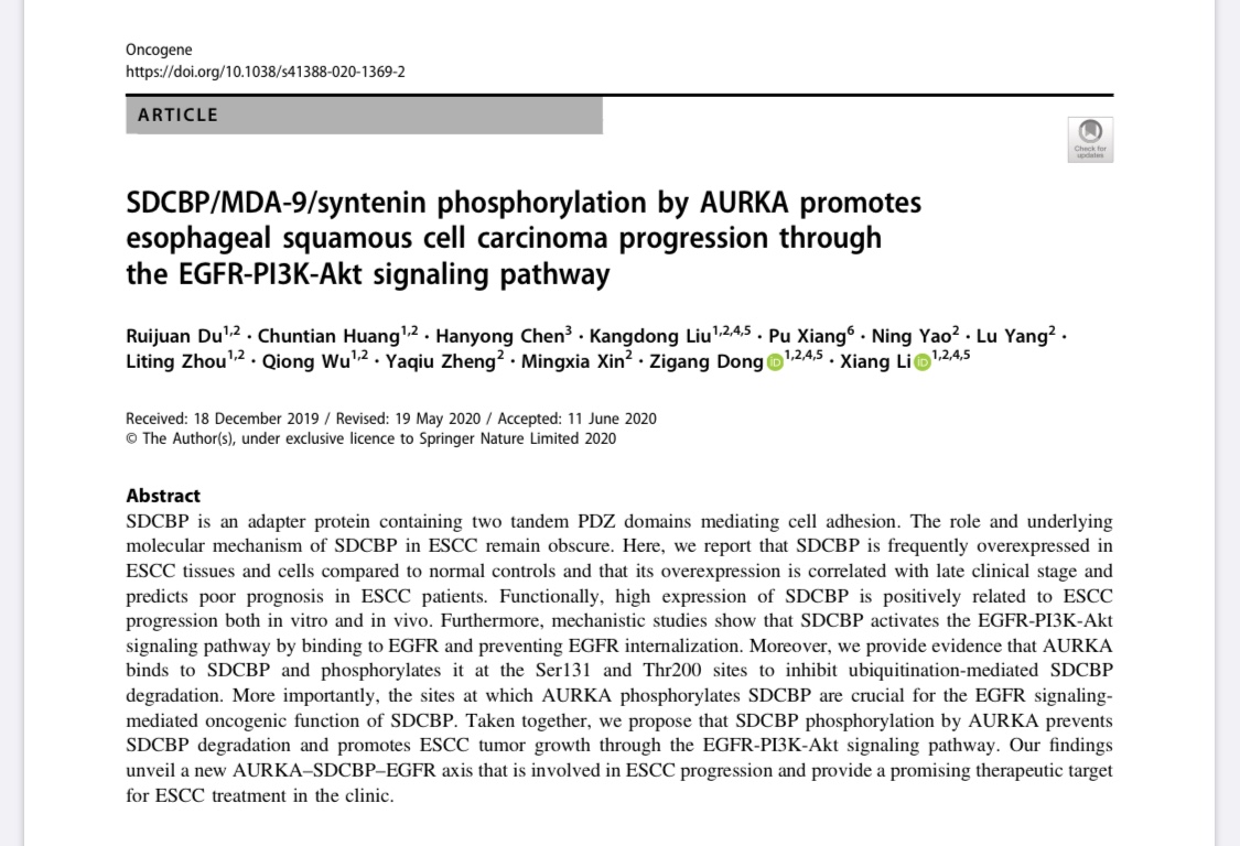 51、SDCBP/MDA-9/syntenin phosphorylation by AURKA promotes esophageal squamous cell carcinoma progression through the EGFR-PI3K-Akt signaling pathway
