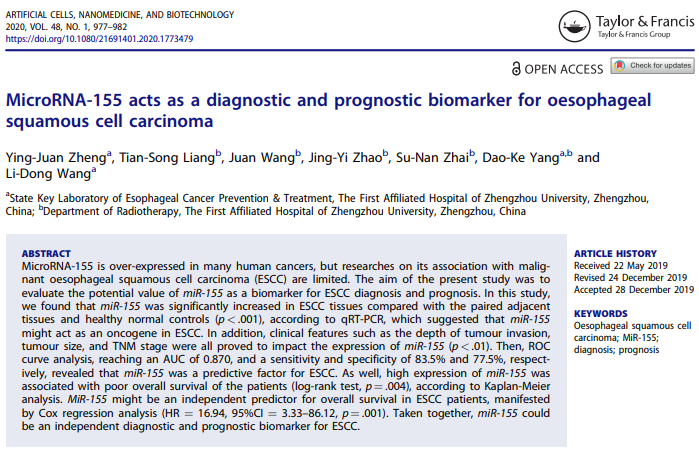 49、MicroRNA-155 acts as a diagnostic and prognostic biomarker for oesophageal squamous cell carcinoma
