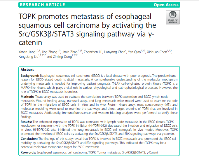 60、TOPK Promotes Metastasis of Esophageal Squamous Cell Carcinoma by Activating the Src-GSK3β-STAT3 Signaling Pathway via γ-catenin