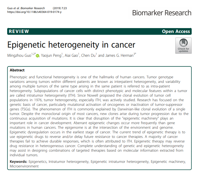 38、Epigenetic heterogeneity in cancer.