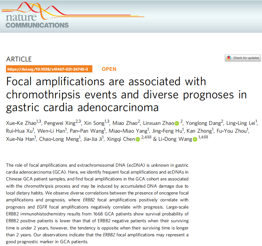 91、Focal amplifications are associated withchromothripsis events and diverse prognoses ingastric cardia adenocarcinoma