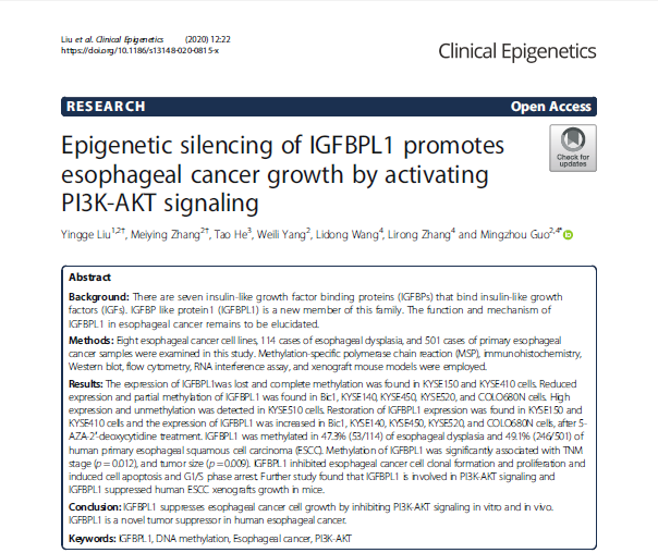 57、Epigenetic Silencing of IGFBPL1 Promotes Esophageal Cancer Growth by Activating PI3K-AKT Signaling