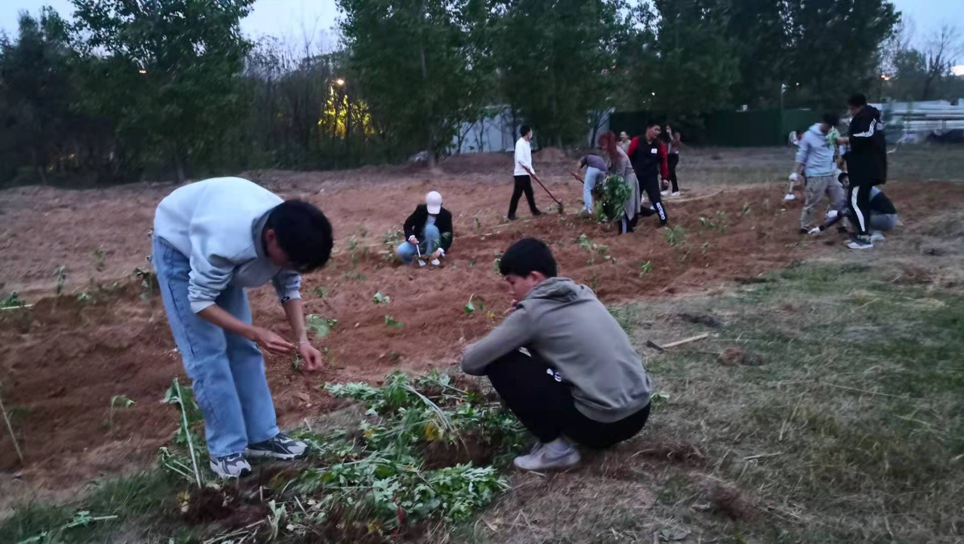 药学院团委开展劳动实践教育活动