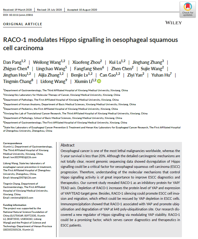 69、RACO-1 modulates Hippo signalling in oesophageal squamous cell carcinoma