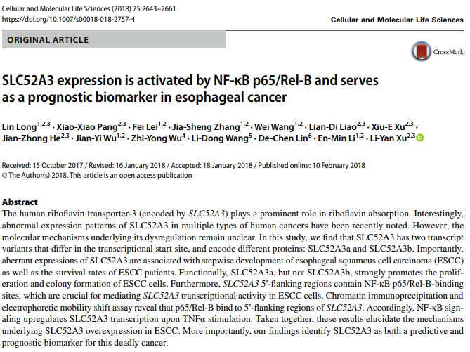  25、SLC52A3 expression is activated by NF-κB p65/Rel-B and serves as a prognostic biomarker in esophageal cancer.