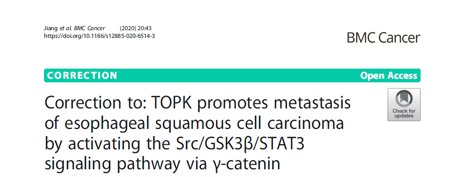 58、Correction to TOPK promotes metastasis of esophageal squamous cell carcinoma by activating the Src GSK3β STAT3 signaling pathway via γ-catenin