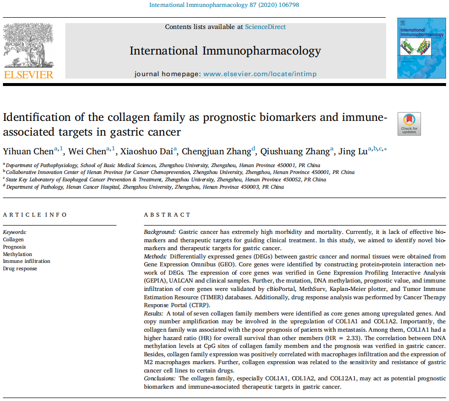 83、Identification of the collagen family as prognostic biomarkers and immuneassociated targets in gastric cancer