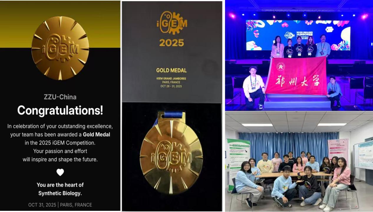 基础医学院教师指导郑州大学iGEM...