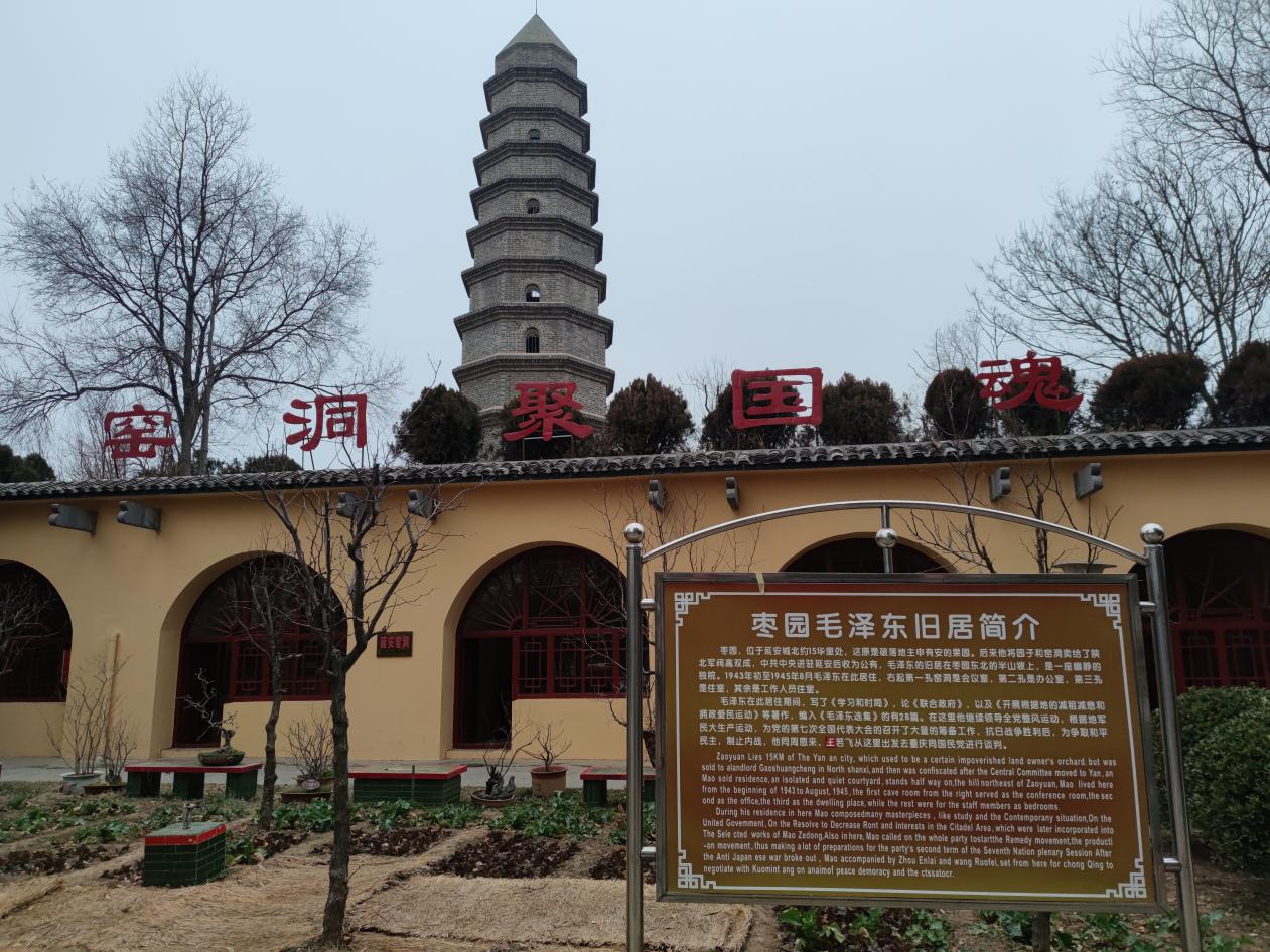 d00f9863413686cdcaaec22ec1b7505