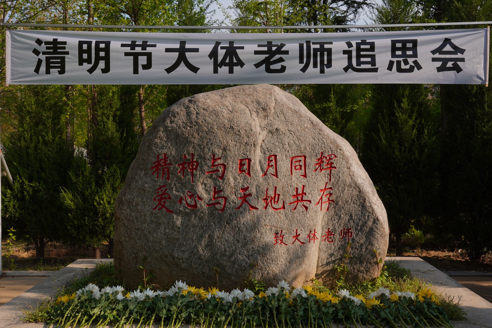 清明寄哀思，薪火传医道