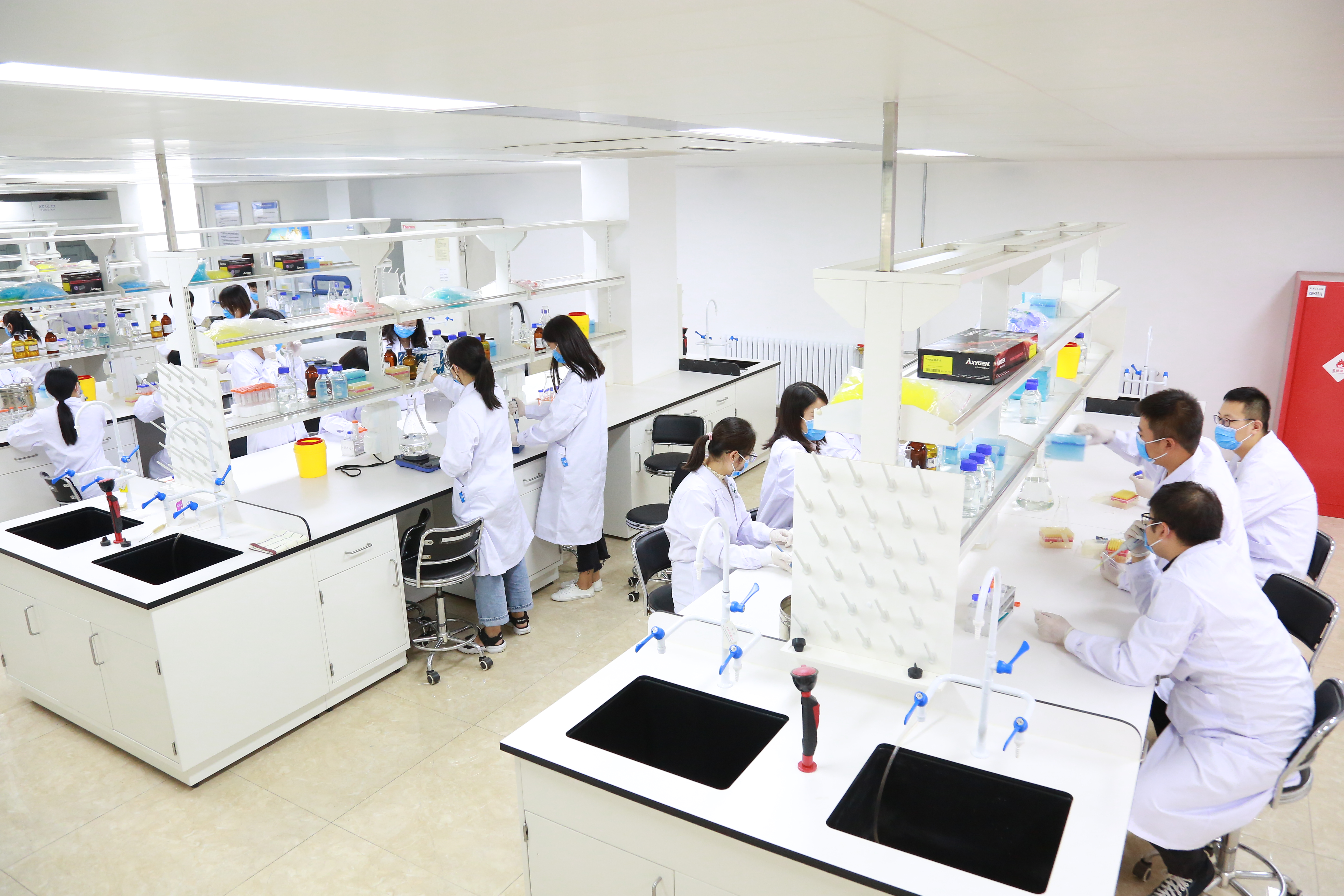 实验室图片欣赏(三)-郑州大学省部共建食管癌防治国家重点实验室