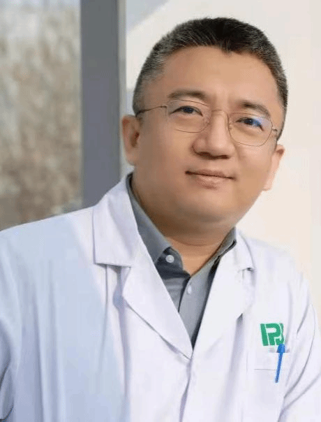 高磊